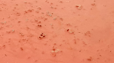 塑膠跑道施工起泡怎么辦？